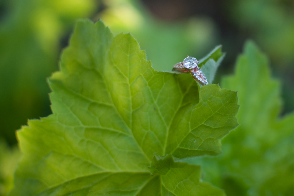Rose Gold Diamond Engagement Ring photo
