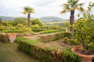 Italy Tuscany villa - Alison Dunn Photography photo