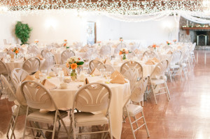 Joseph's Country Manor Buffalo New York Wedding Reception Photographer photo