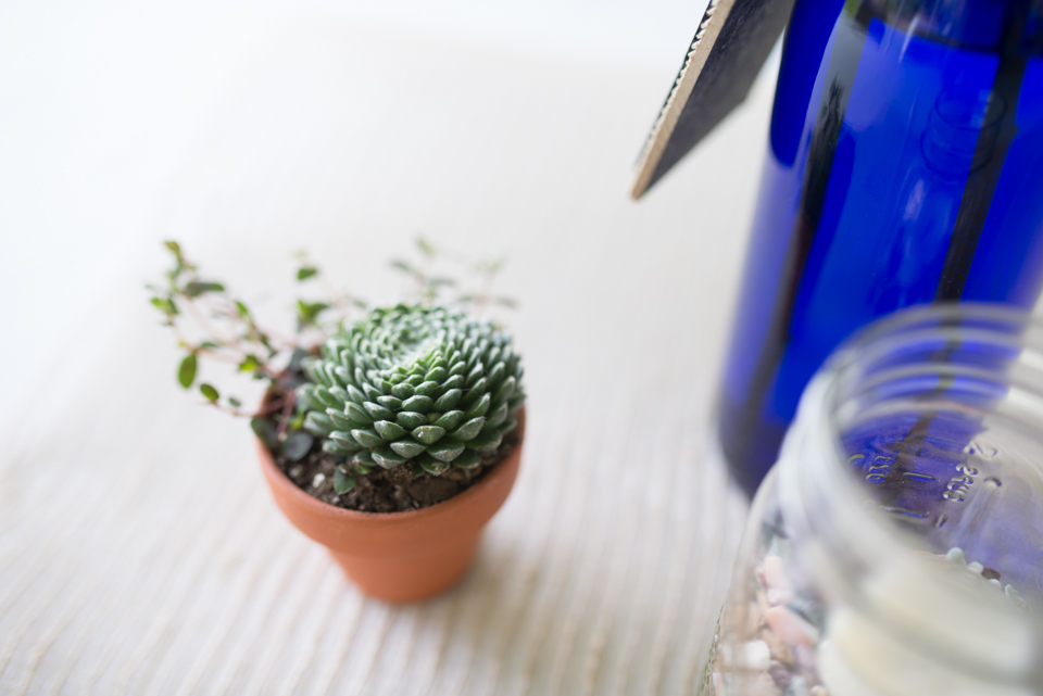 Succulent Wedding Centerpiece photo