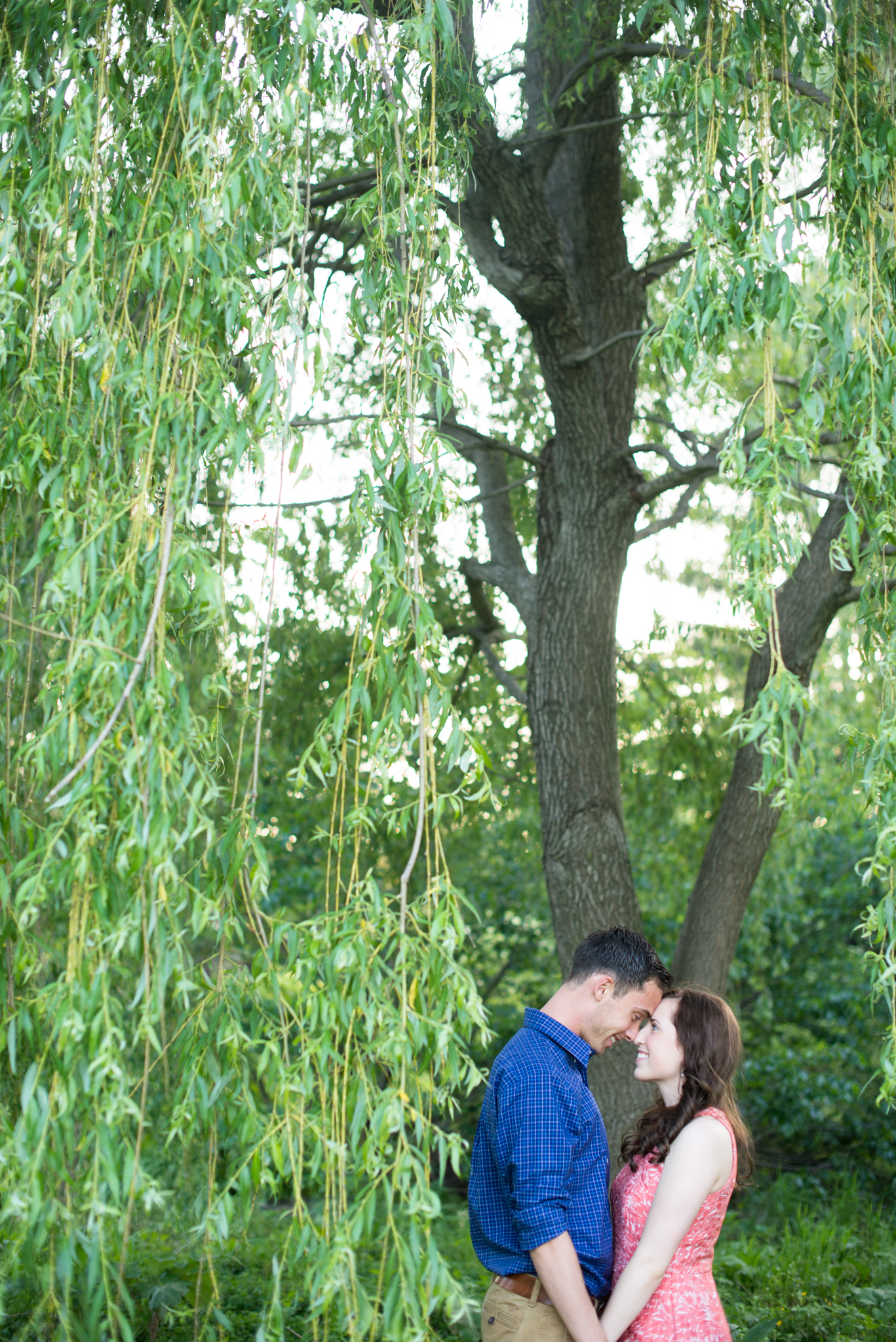 George + Michelle - Allentown Memorial Rose Garden Engagement Session Picnic - Alison Dunn Photography photo