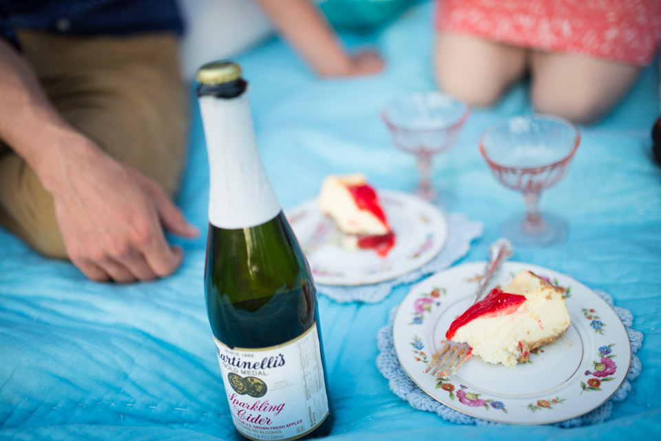 18 - George + Michelle - Allentown Memorial Rose Garden Engagement Session Picnic - Alison Dunn Photography photo