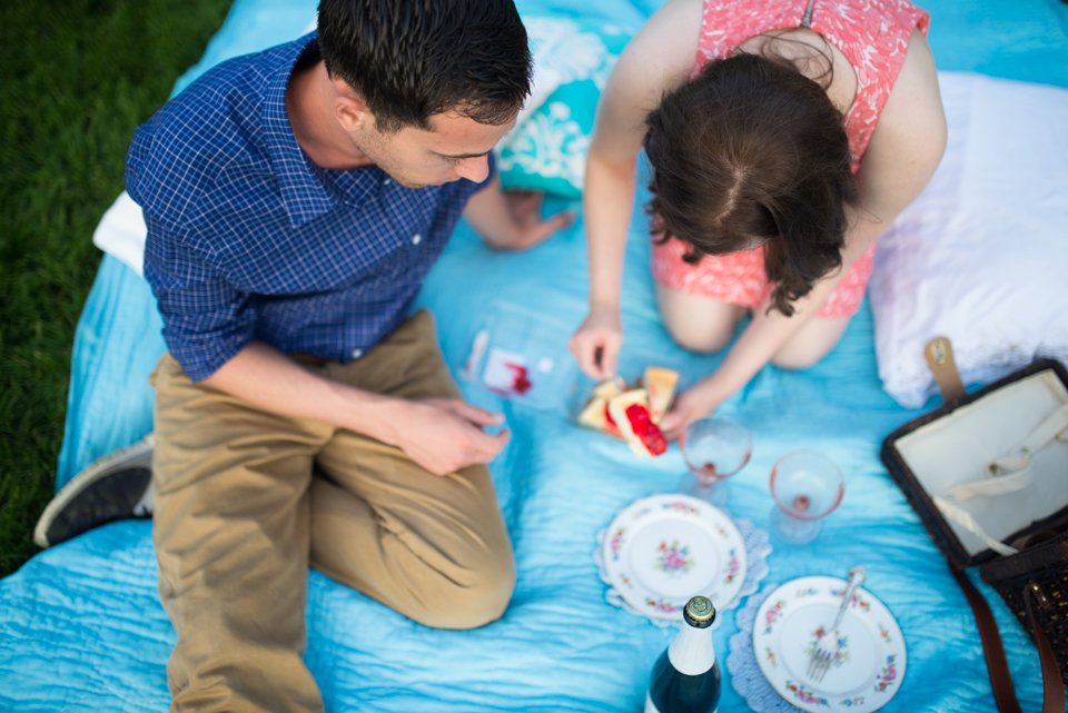 19 - George + Michelle - Allentown Memorial Rose Garden Engagement Session Picnic - Alison Dunn Photography photo