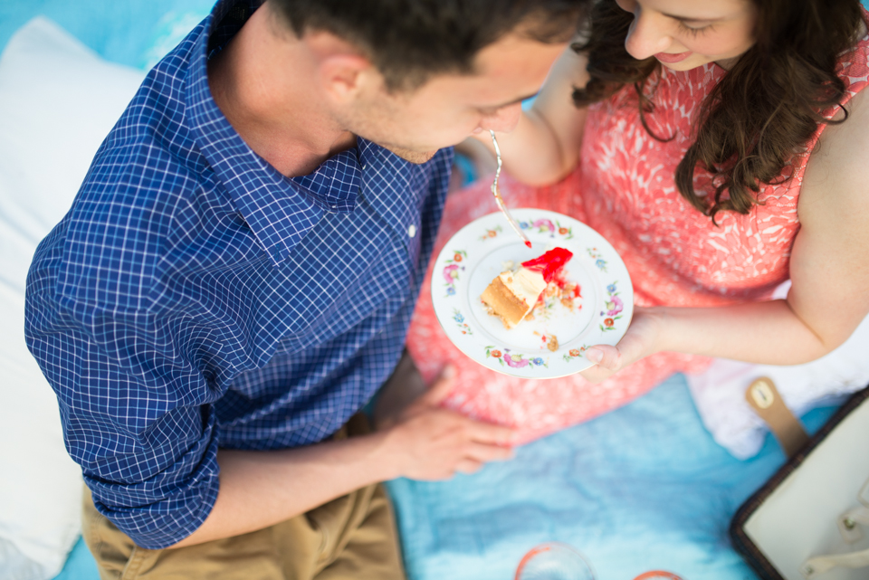 21 - George + Michelle - Allentown Memorial Rose Garden Engagement Session Picnic - Alison Dunn Photography photo