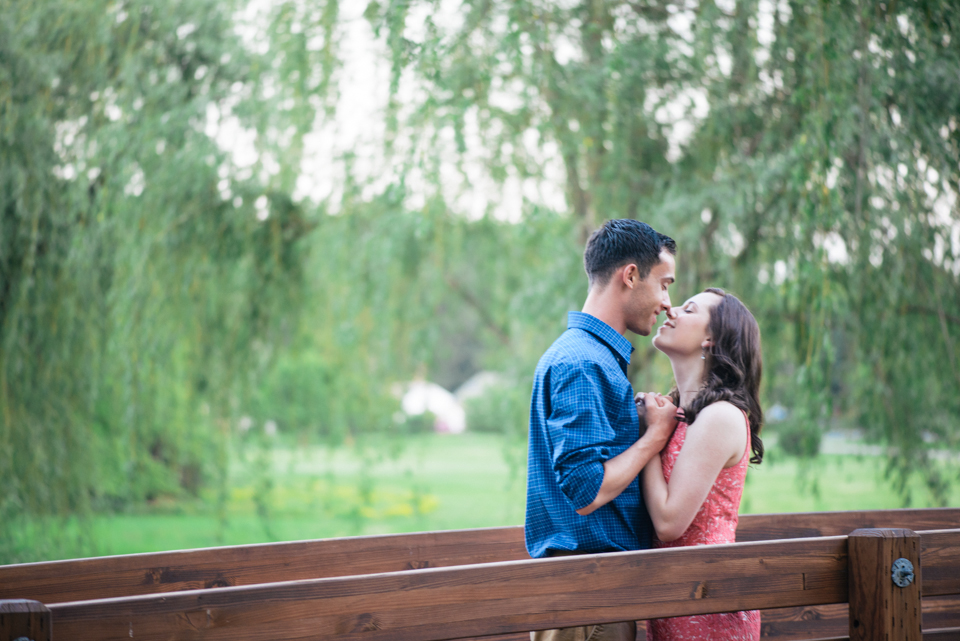33 - George + Michelle - Allentown Memorial Rose Garden Engagement Session Picnic - Alison Dunn Photography photo