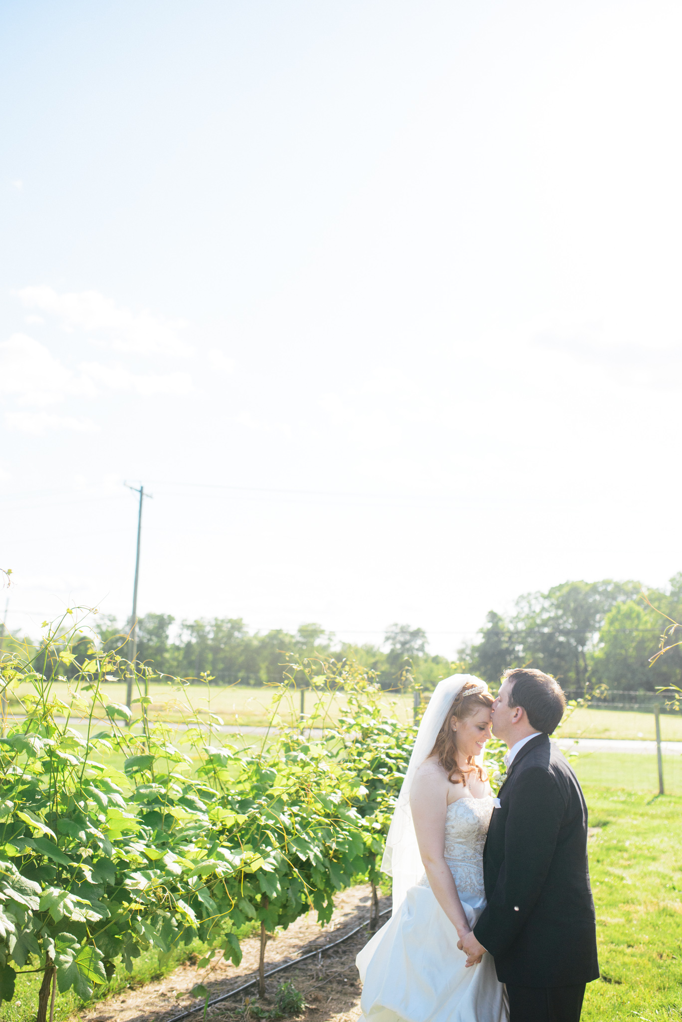 Valenzano Winery Shamong New Jersey Wedding - Alison Dunn Photography photo