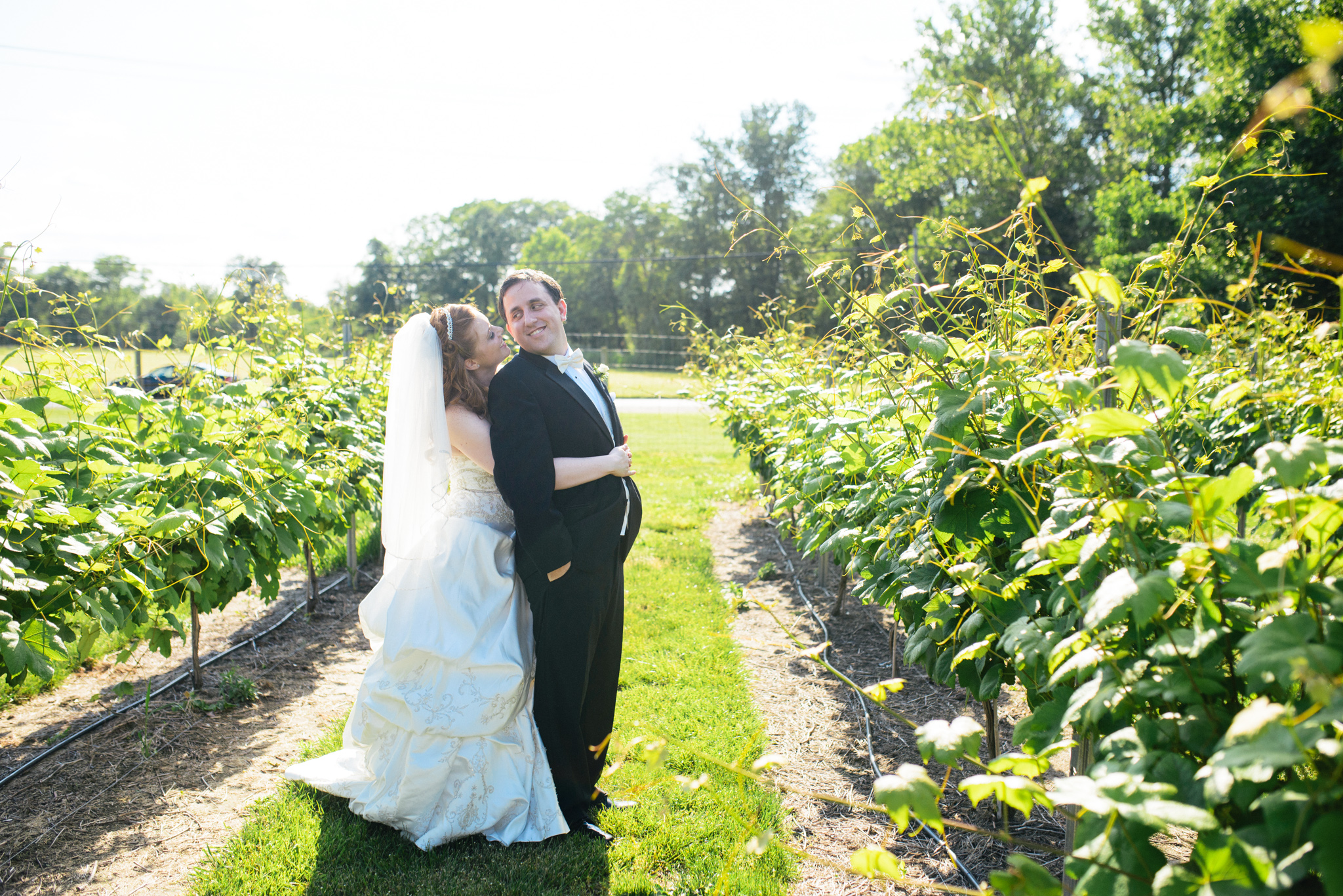 Valenzano Winery Shamong New Jersey Wedding - Alison Dunn Photography photo