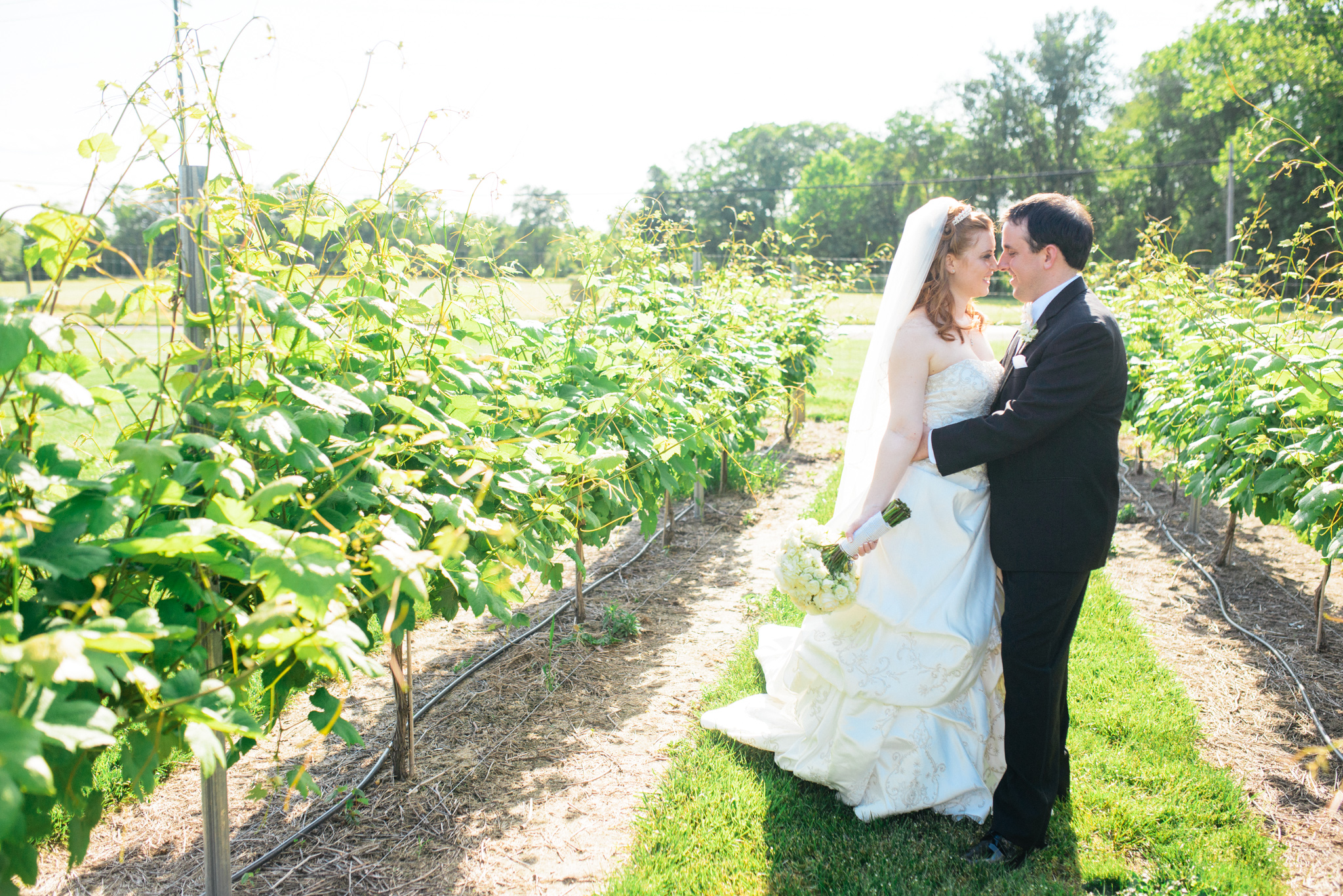 62 - Valenzano Winery Shamong New Jersey Wedding - Alison Dunn Photography photo