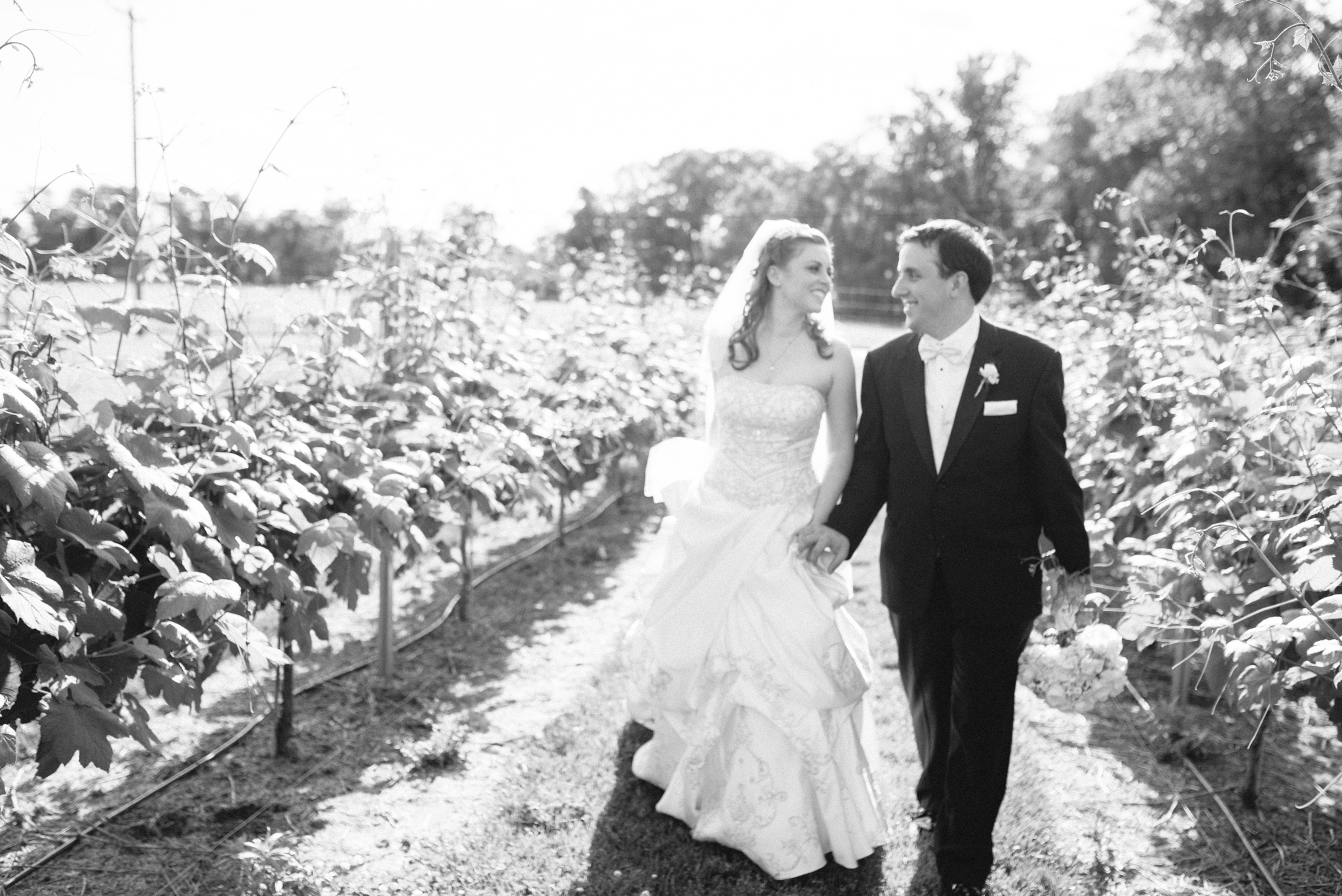 Valenzano Winery Shamong New Jersey Wedding - Alison Dunn Photography photo