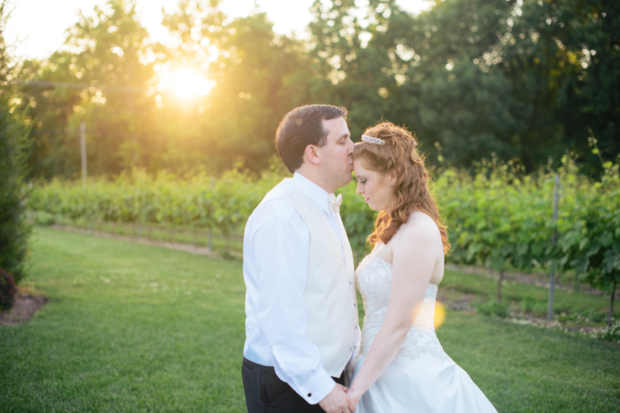 Valenzano Winery Shamong New Jersey Wedding - Alison Dunn Photography photo