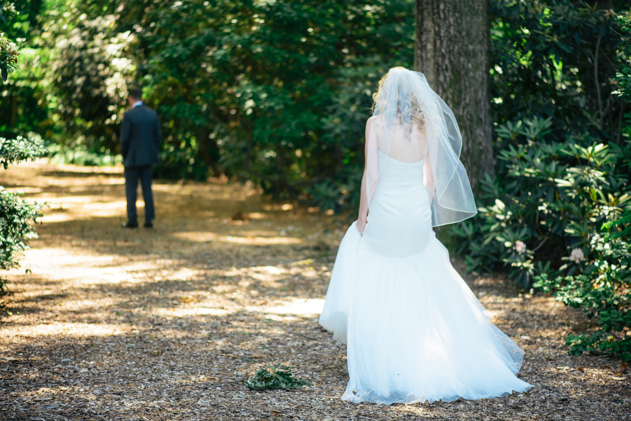 14 - Maggie + Tom - Bernardsville New Jersey Backyard Wedding - Alison Dunn Photography photo