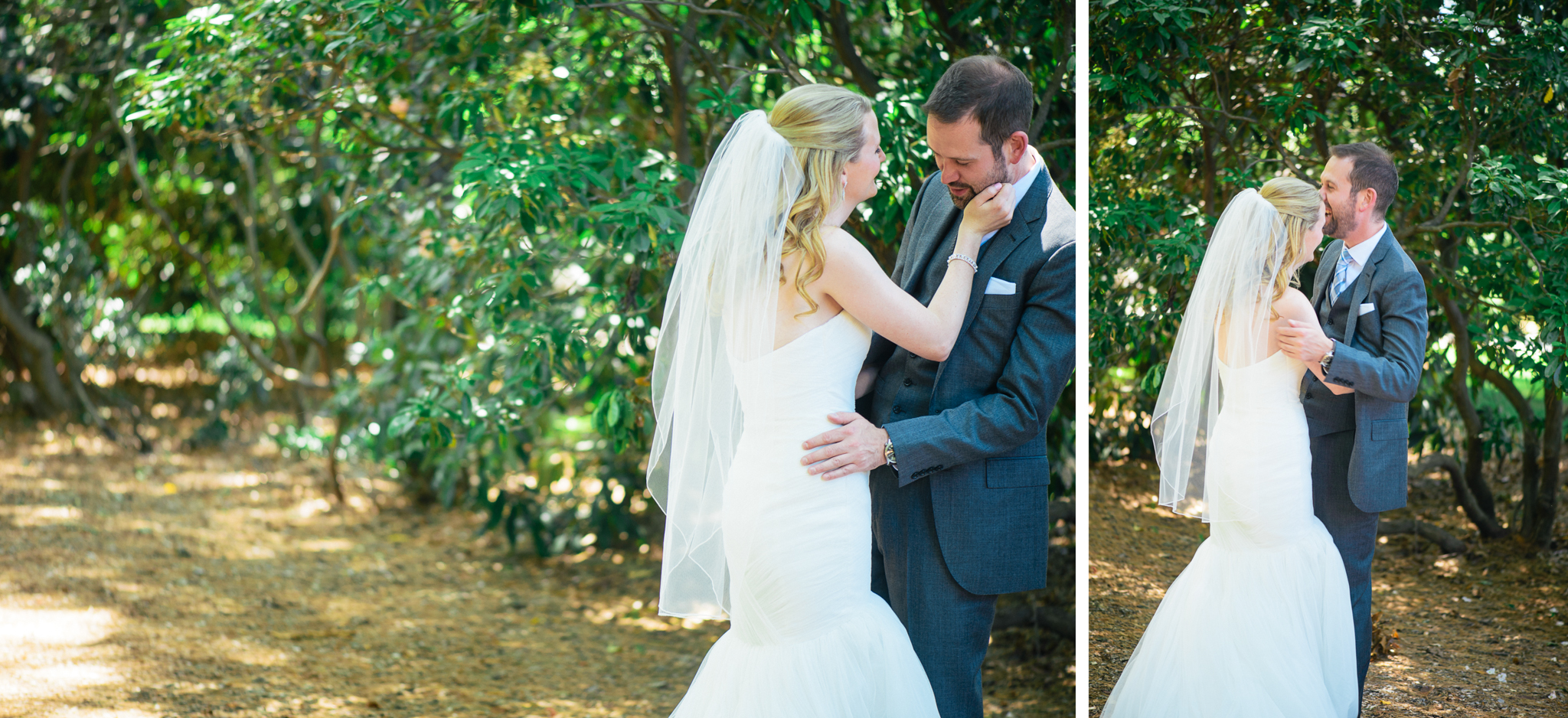 15 - Maggie + Tom - Bernardsville New Jersey Backyard Wedding - Alison Dunn Photography photo