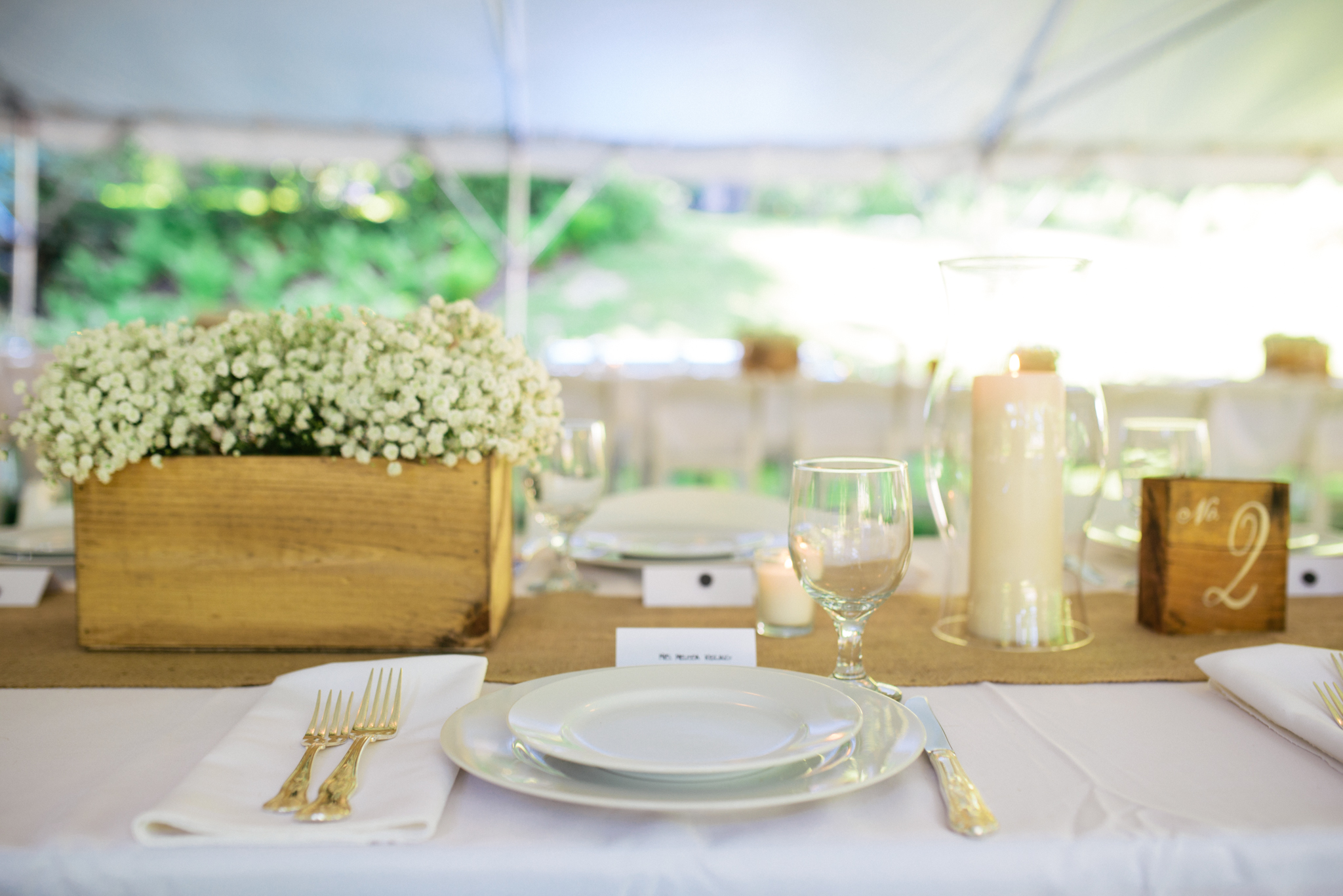 Bernardsville New Jersey Backyard Wedding Reception photo