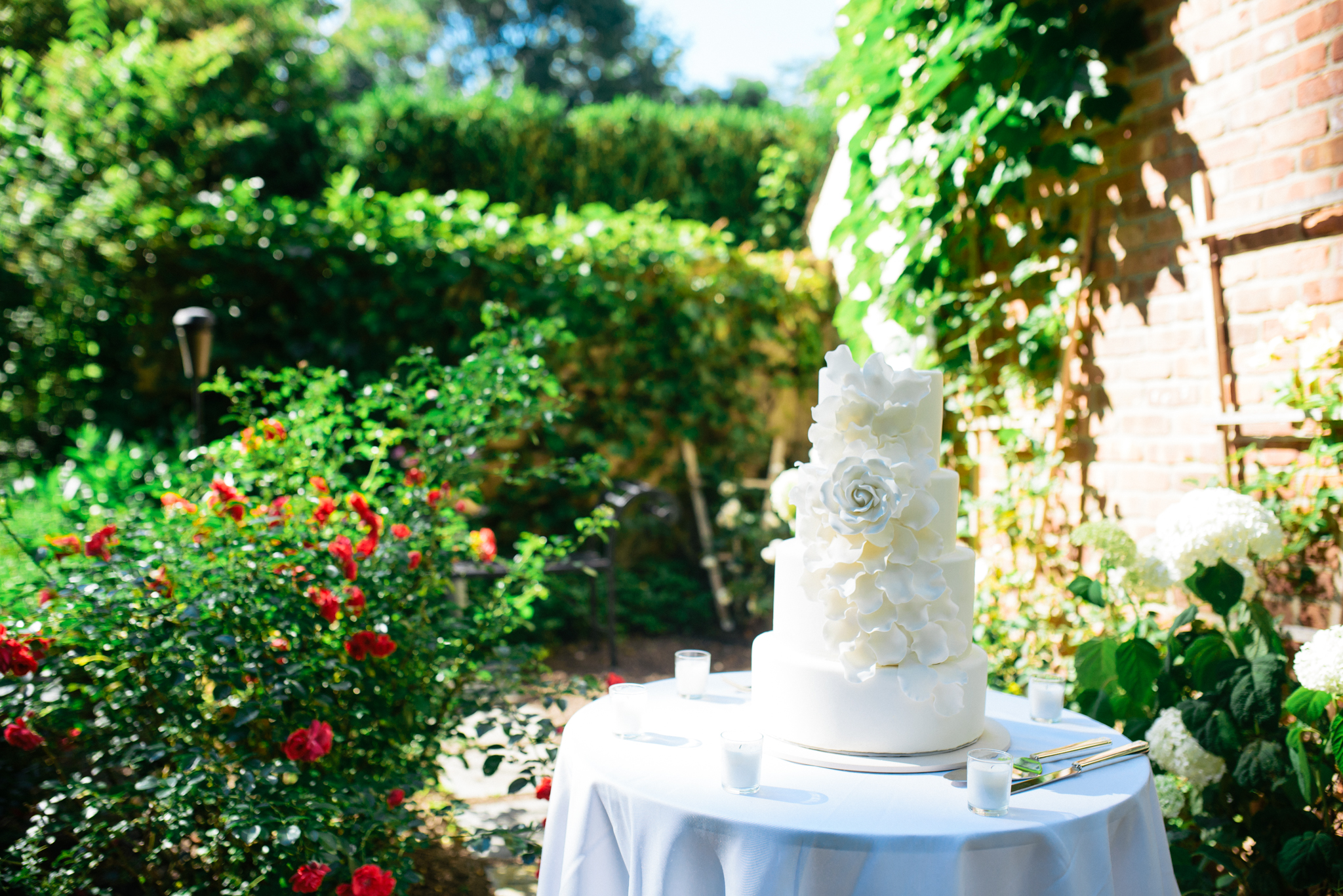 54 - Maggie + Tom - Bernardsville New Jersey Backyard Wedding - Alison Dunn Photography photo