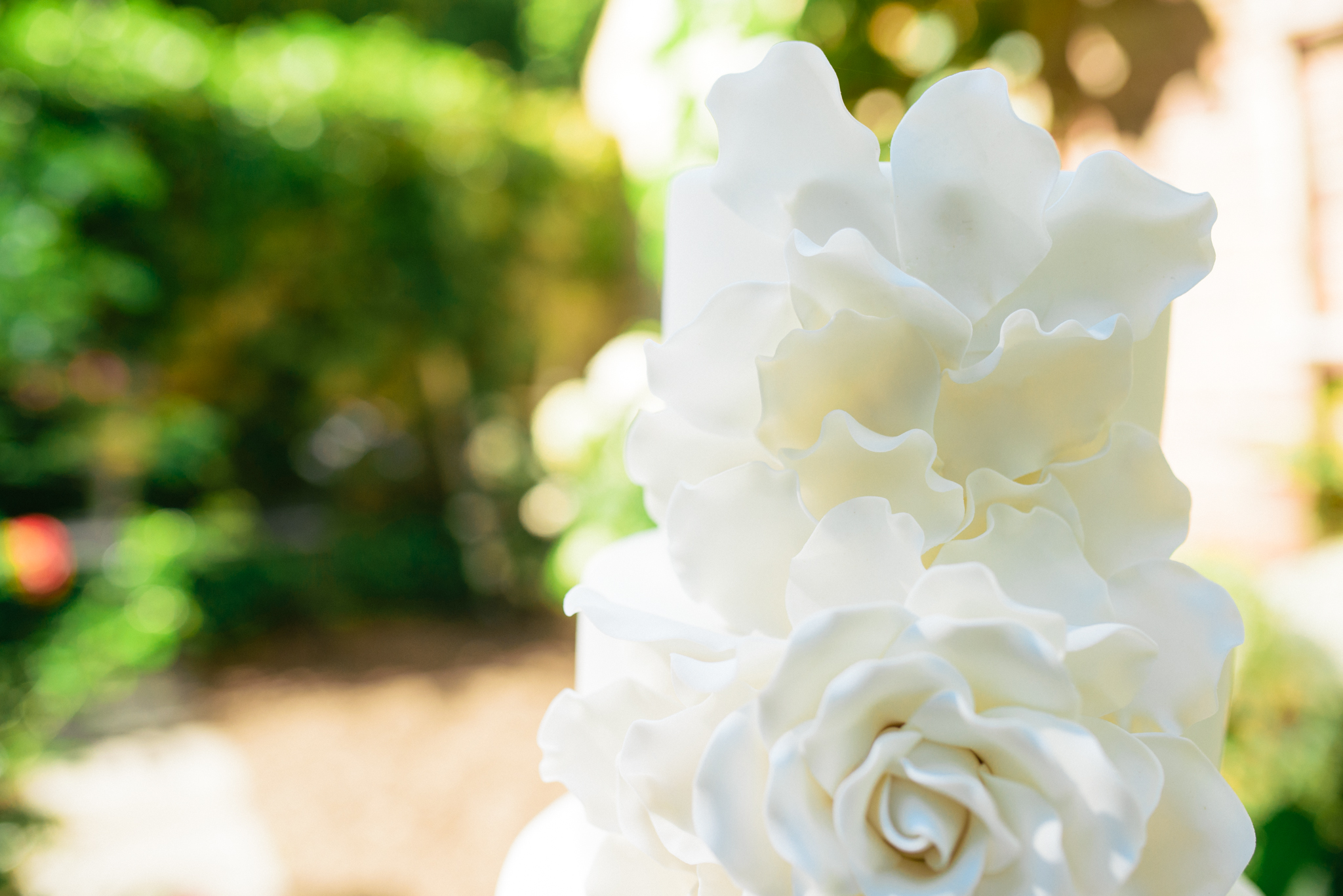 55 - Maggie + Tom - Bernardsville New Jersey Backyard Wedding - Alison Dunn Photography photo