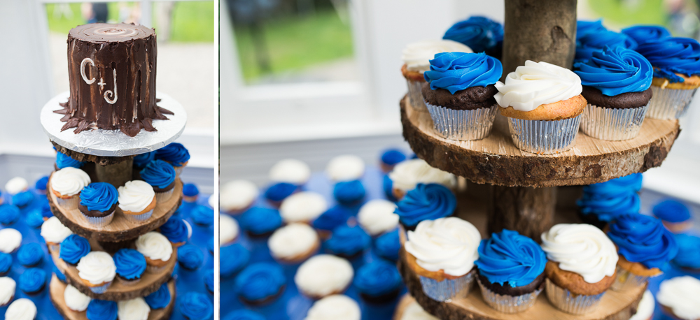 Blue White Cupcakes - Tree Slice Cake Stand photo