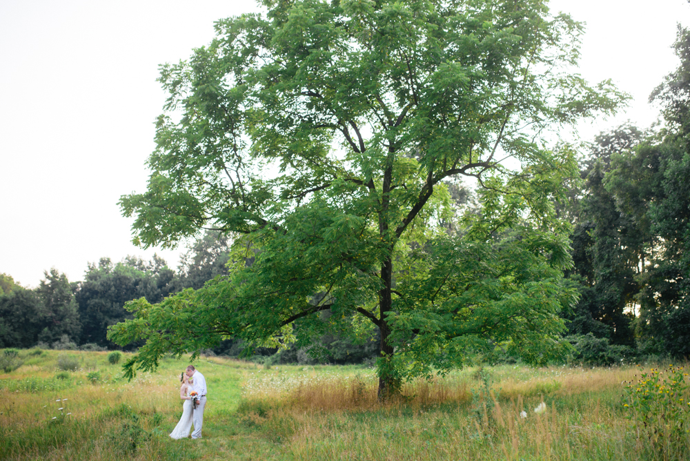 69 - Roni + Graham - HollyHedge Estate Wedding - Alison Dunn Photography photo