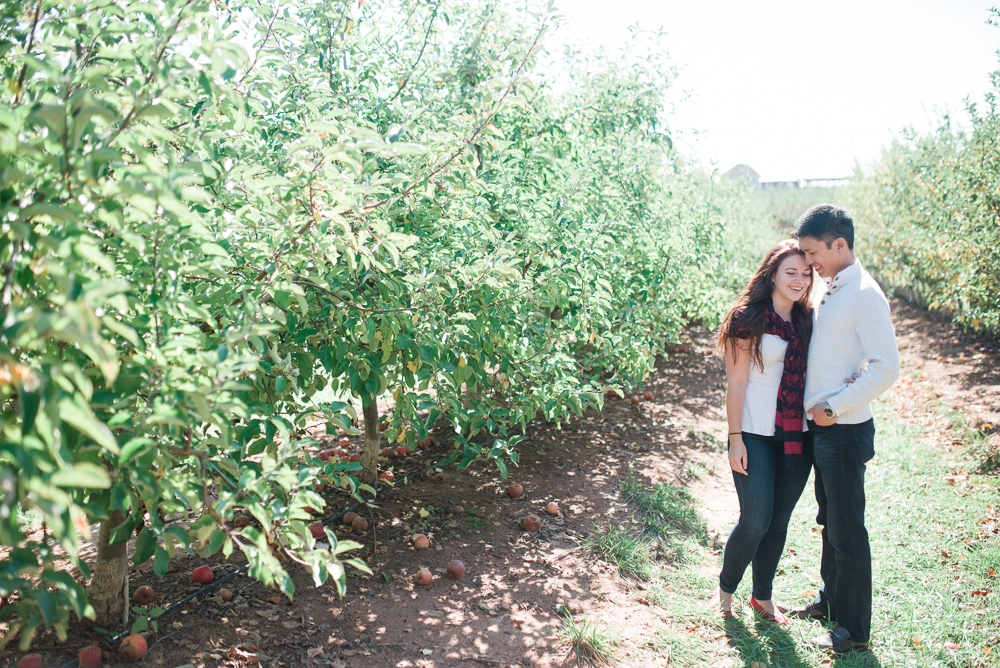 Elisabeth + Aaron - Homestead Farm Apple Picking - Poolesville MD Engagement Session - Alison Dunn Photography photo