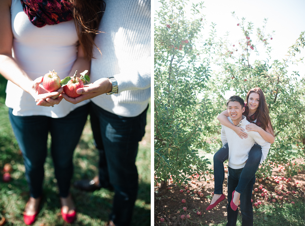 Elisabeth + Aaron - Homestead Farm Apple Picking - Poolesville MD Engagement Session - Alison Dunn Photography photo