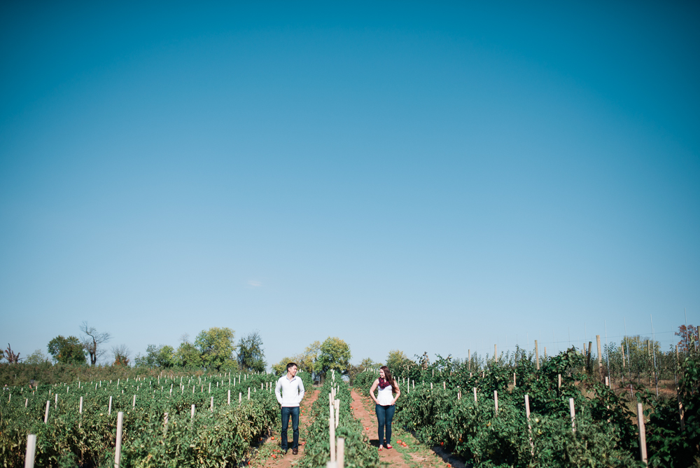 Elisabeth + Aaron - Homestead Farm Apple Picking - Poolesville MD Engagement Session - Alison Dunn Photography photo