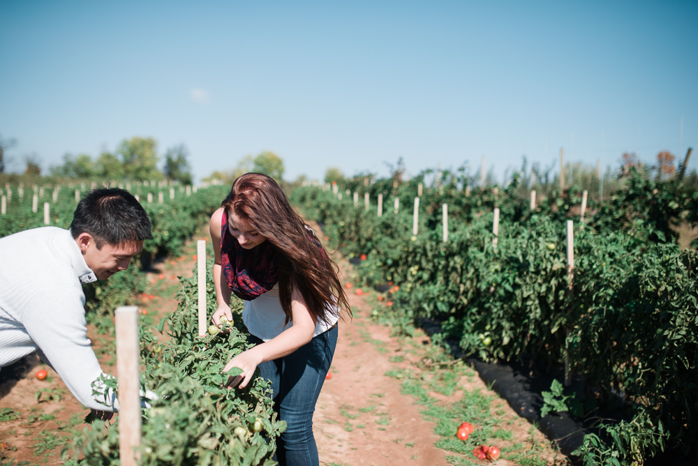 Elisabeth + Aaron - Homestead Farm Apple Picking - Poolesville MD Engagement Session - Alison Dunn Photography photo