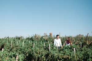 Elisabeth + Aaron - Homestead Farm Apple Picking - Poolesville MD Engagement Session - Alison Dunn Photography photo