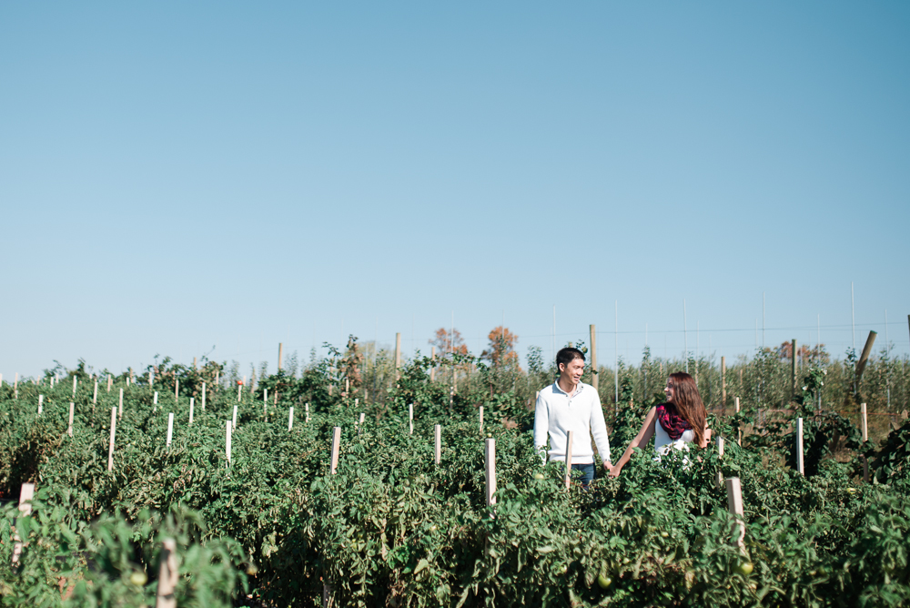 Elisabeth + Aaron - Homestead Farm Apple Picking - Poolesville MD Engagement Session - Alison Dunn Photography photo