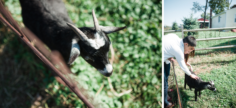 Elisabeth + Aaron - Homestead Farm - Poolesville MD Engagement Session - Alison Dunn Photography photo