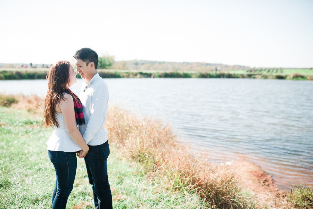 Elisabeth + Aaron - Homestead Farm - Poolesville MD Engagement Session - Alison Dunn Photography photo