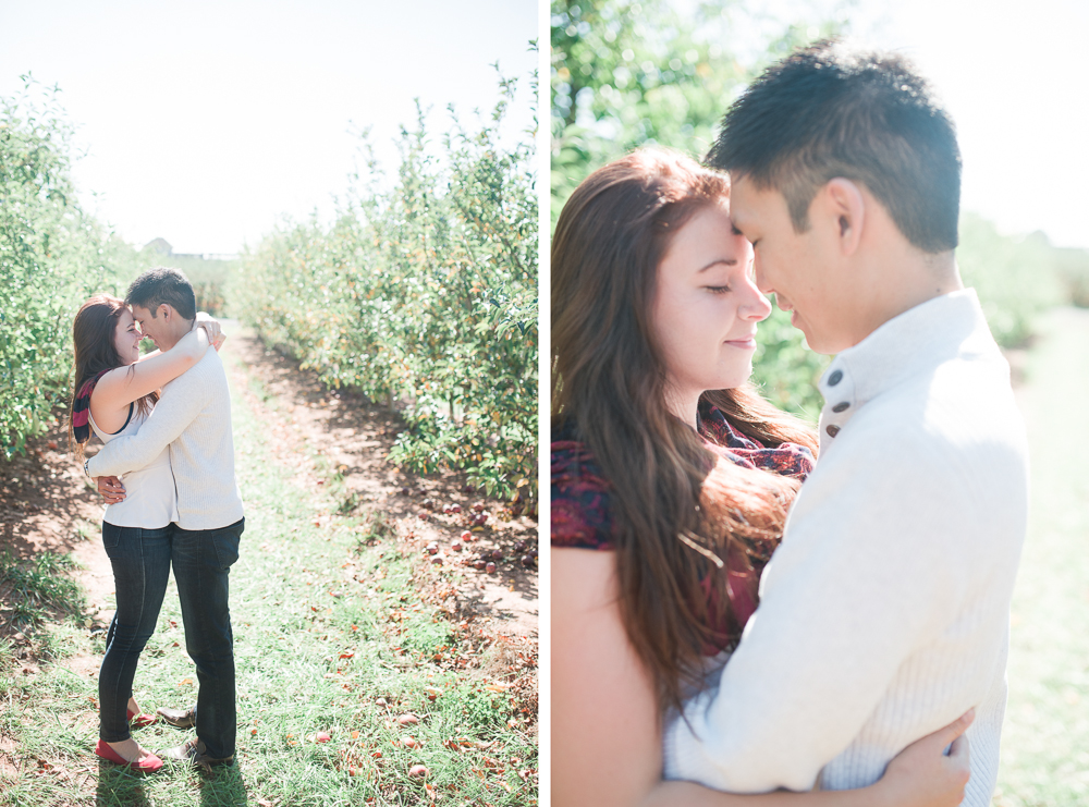 Elisabeth + Aaron - Homestead Farm Apple Picking - Poolesville MD Engagement Session - Alison Dunn Photography photo