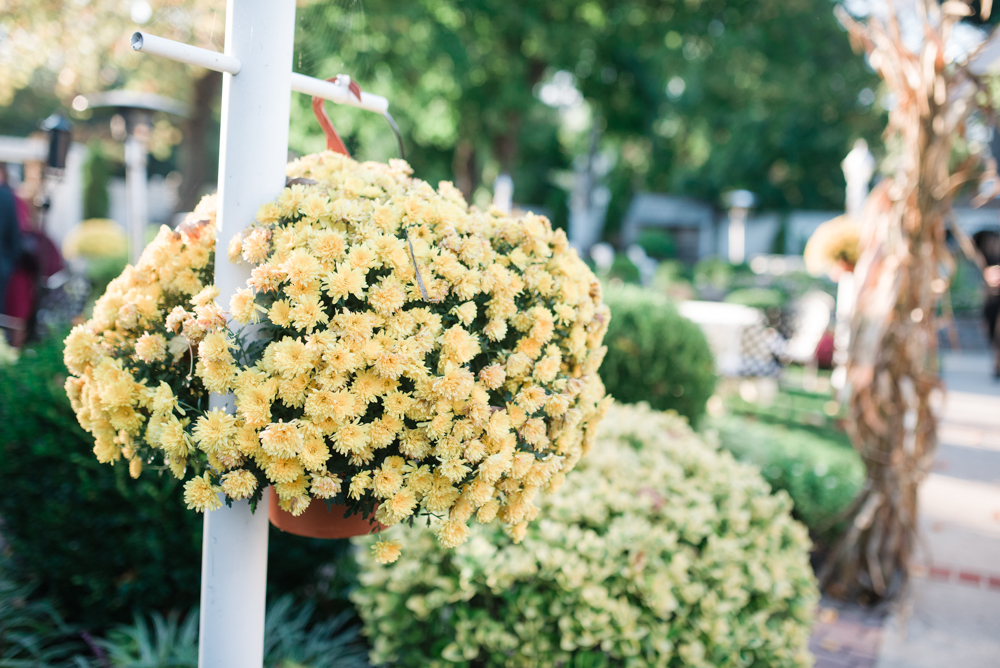 36 - Lynn + Jeffrey - Washington Crossing PA Wedding - Alison Dunn Photography photo