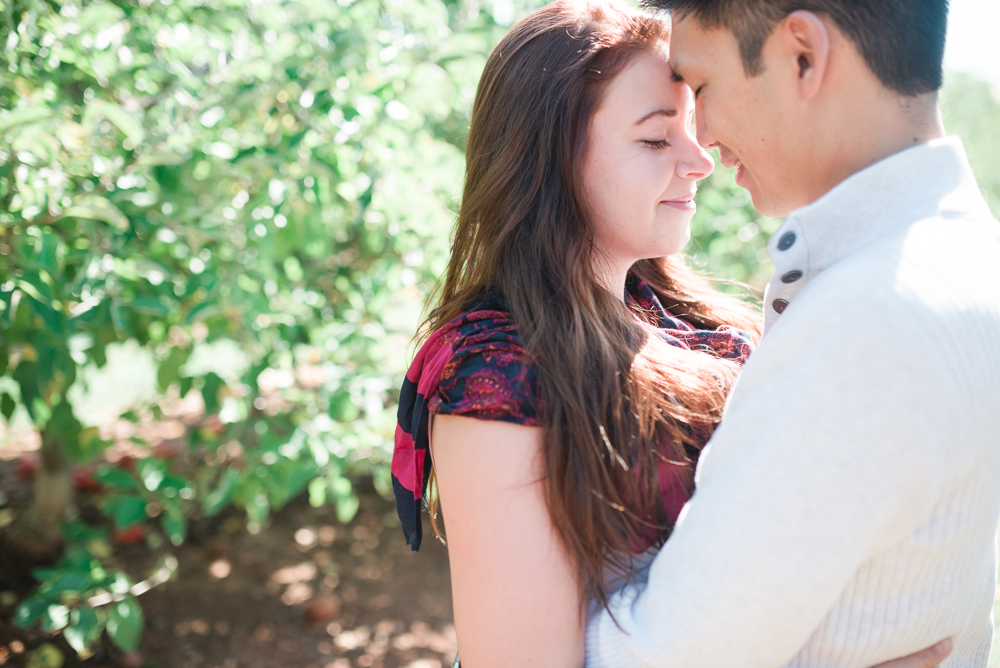 Elisabeth + Aaron - Homestead Farm Apple Picking - Poolesville MD Engagement Session - Alison Dunn Photography photo