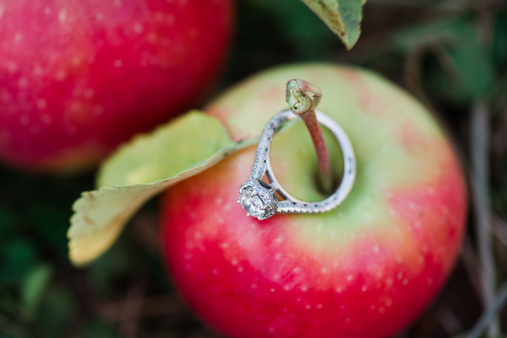 Elisabeth + Aaron - Homestead Farm Apple Picking - Poolesville MD Engagement Session - Alison Dunn Photography photo