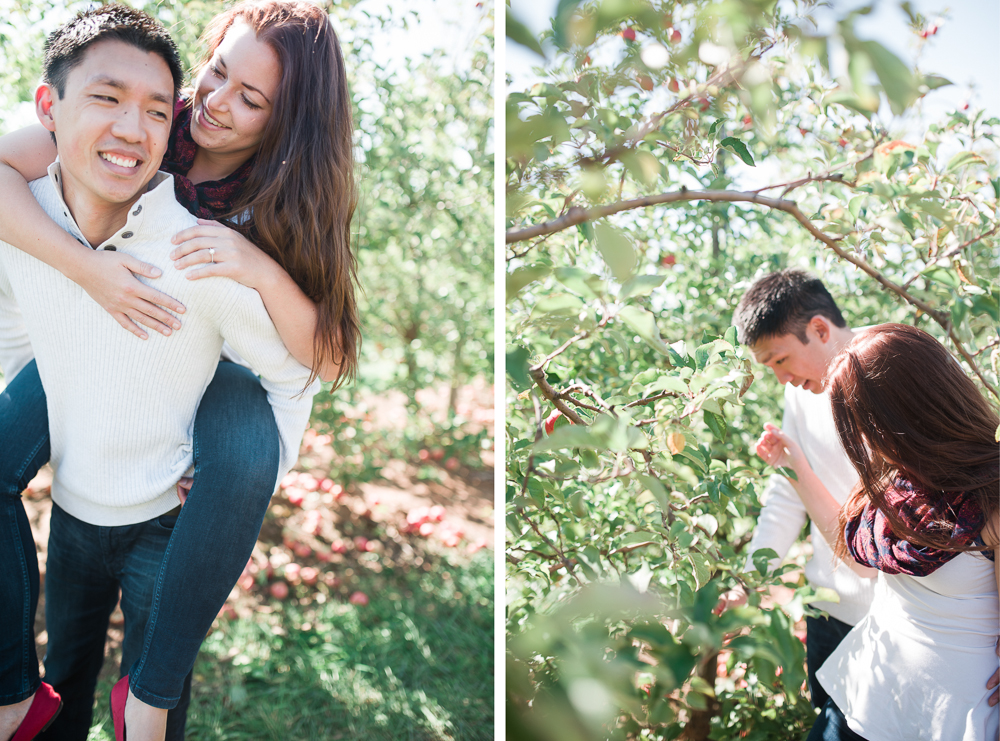 Elisabeth + Aaron - Homestead Farm Apple Picking - Poolesville MD Engagement Session - Alison Dunn Photography photo