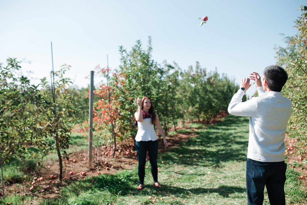 Elisabeth + Aaron - Homestead Farm Apple Picking - Poolesville MD Engagement Session - Alison Dunn Photography photo