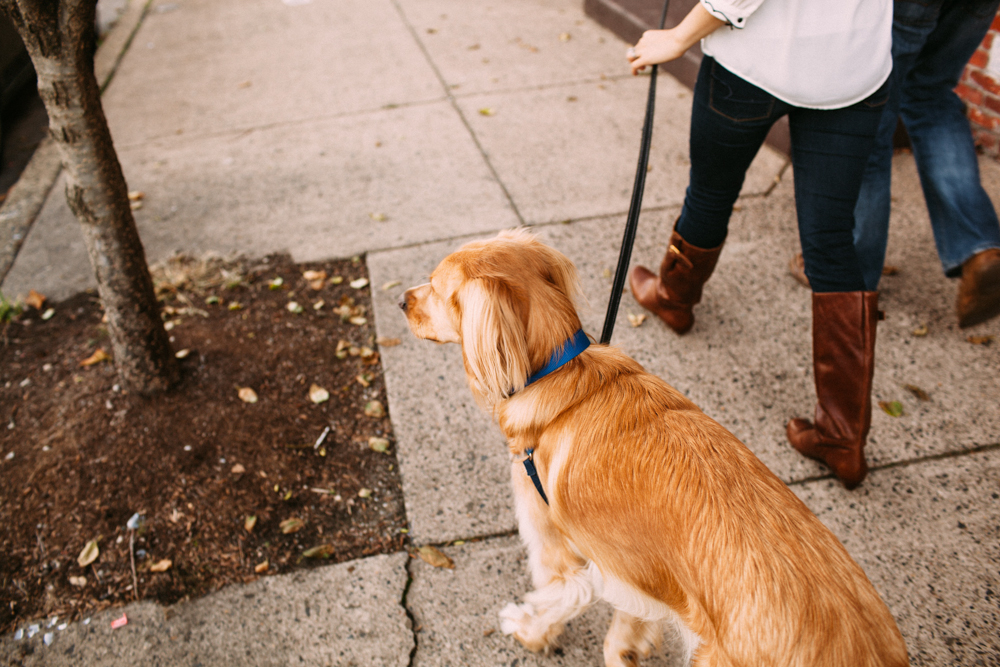 Alison + Kealan - Autumn Kern Photography-12