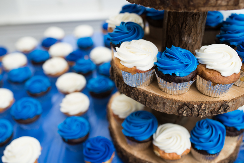 9 Blue and White Wedding Cupcakes-1