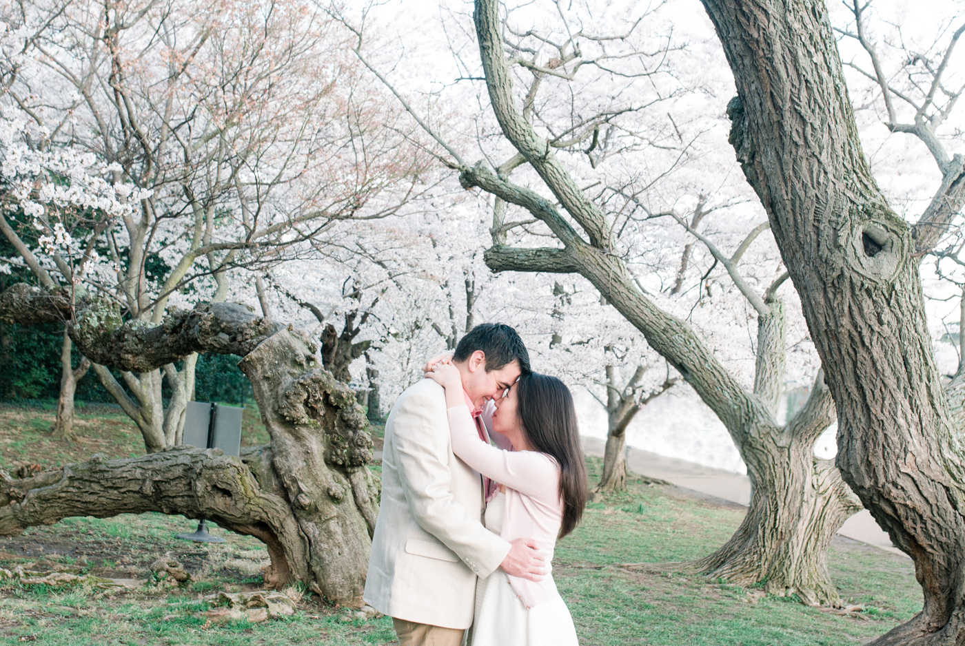 AJ + Yolinda - Washington DC Cherry Blossom Festival Engagement Session photo