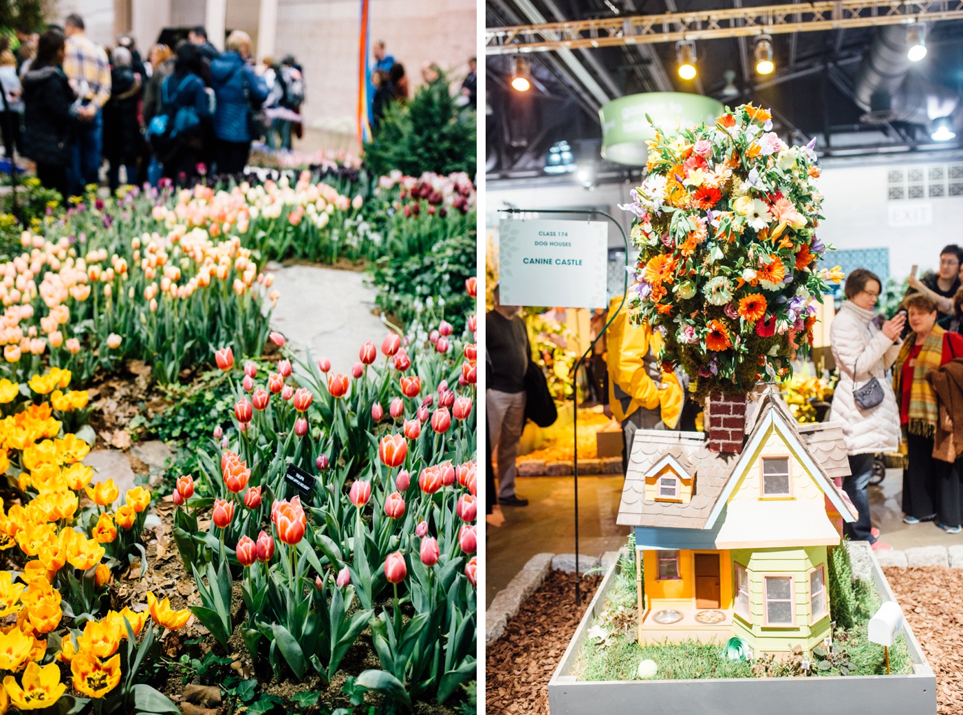 2015 Philadelphia Flower Show photo