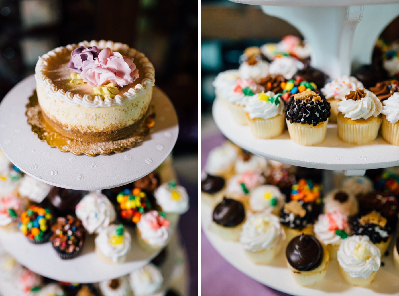 Jessie + Dan - Salt Creek Grille - Princeton NJ Wedding Reception - House of Cupcakes - Alison Dunn Photography photo