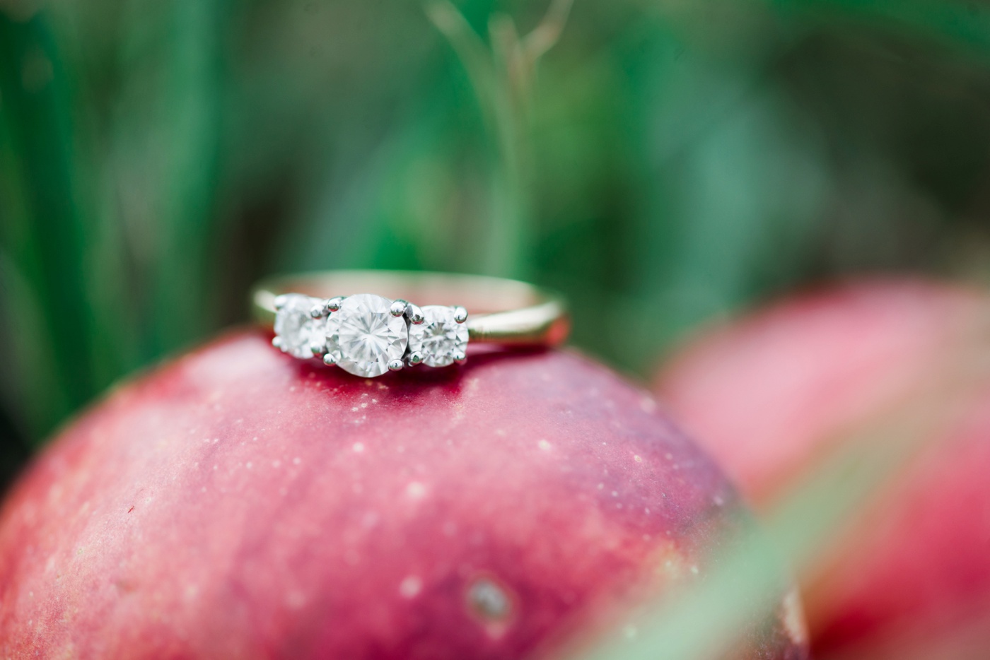 14 - Holly + Michael - Cumberland Maryland Mountain Engagement Session - Maryland Wedding Photographer photo Alison Dunn Photography