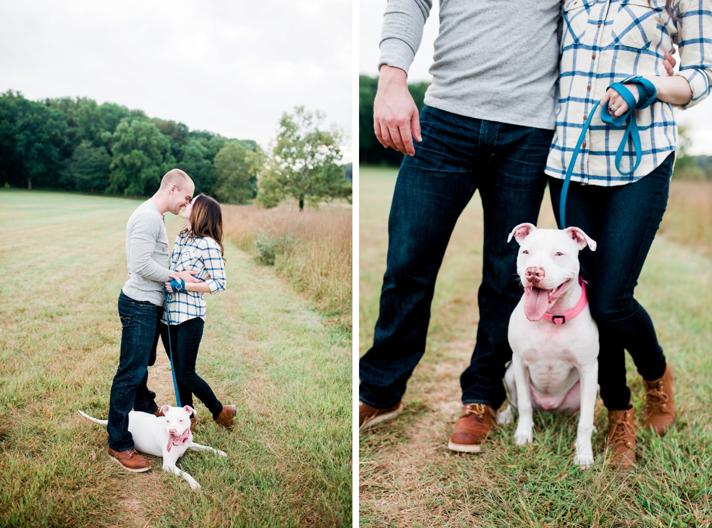 White Pit Bull Mix - Valley Forge National Park Anniversary Session - Philadelpha Pennsylvania Portrait Photographer - Alison Dunn Photography photo