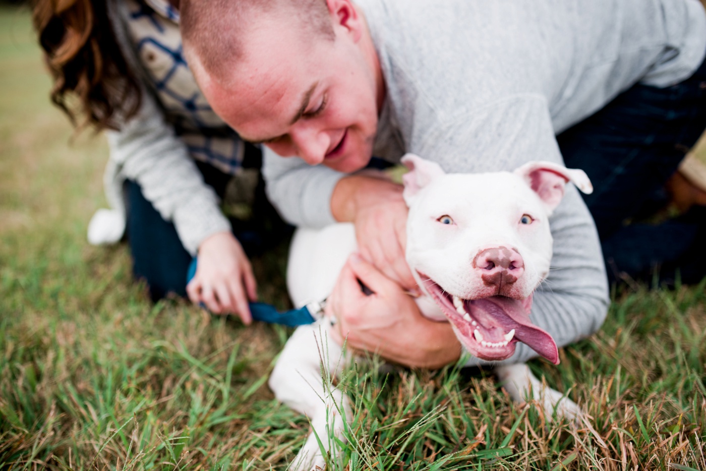 White Pit Bull Mix - Valley Forge National Park Anniversary Session - Philadelpha Pennsylvania Portrait Photographer - Alison Dunn Photography photo