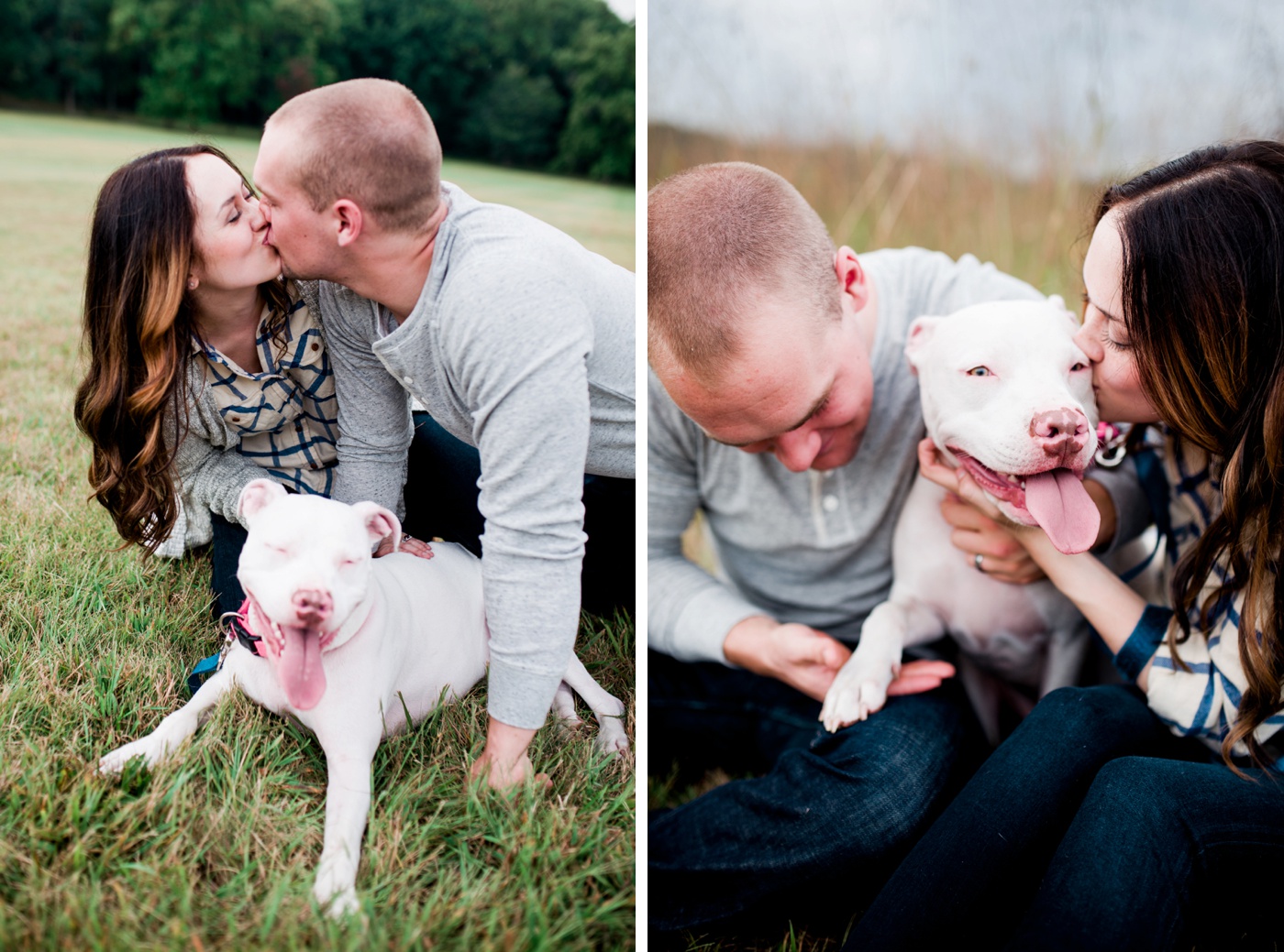 White Pit Bull Mix - Valley Forge National Park Anniversary Session - Philadelpha Pennsylvania Portrait Photographer - Alison Dunn Photography photo