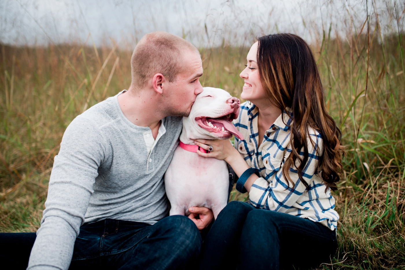 White Pit Bull Mix - Valley Forge National Park Anniversary Session - Philadelpha Pennsylvania Portrait Photographer - Alison Dunn Photography photo