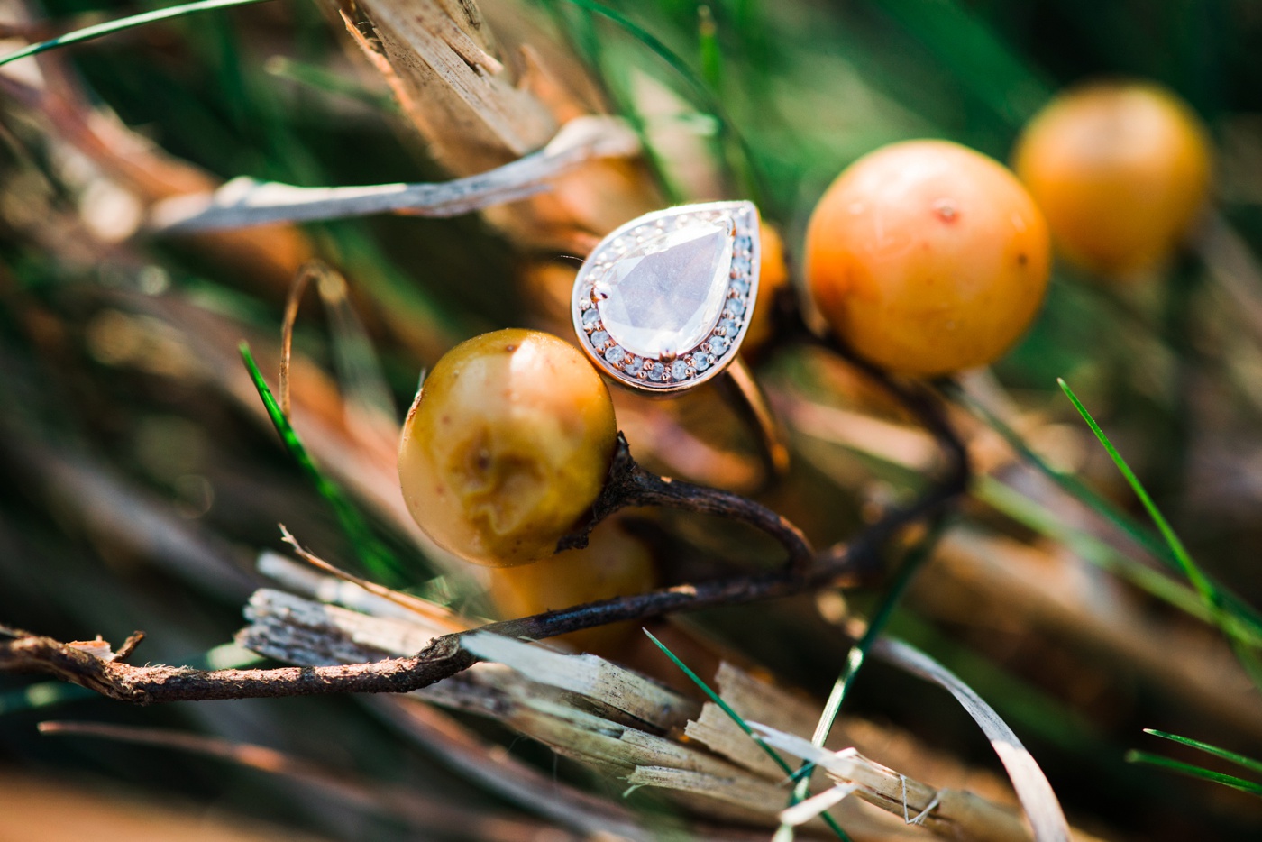 14 - Katie + David - Valley Forge Engagement Session - King of Prussia Pennsylvania Wedding Photographer - Alison Dunn Photography photo