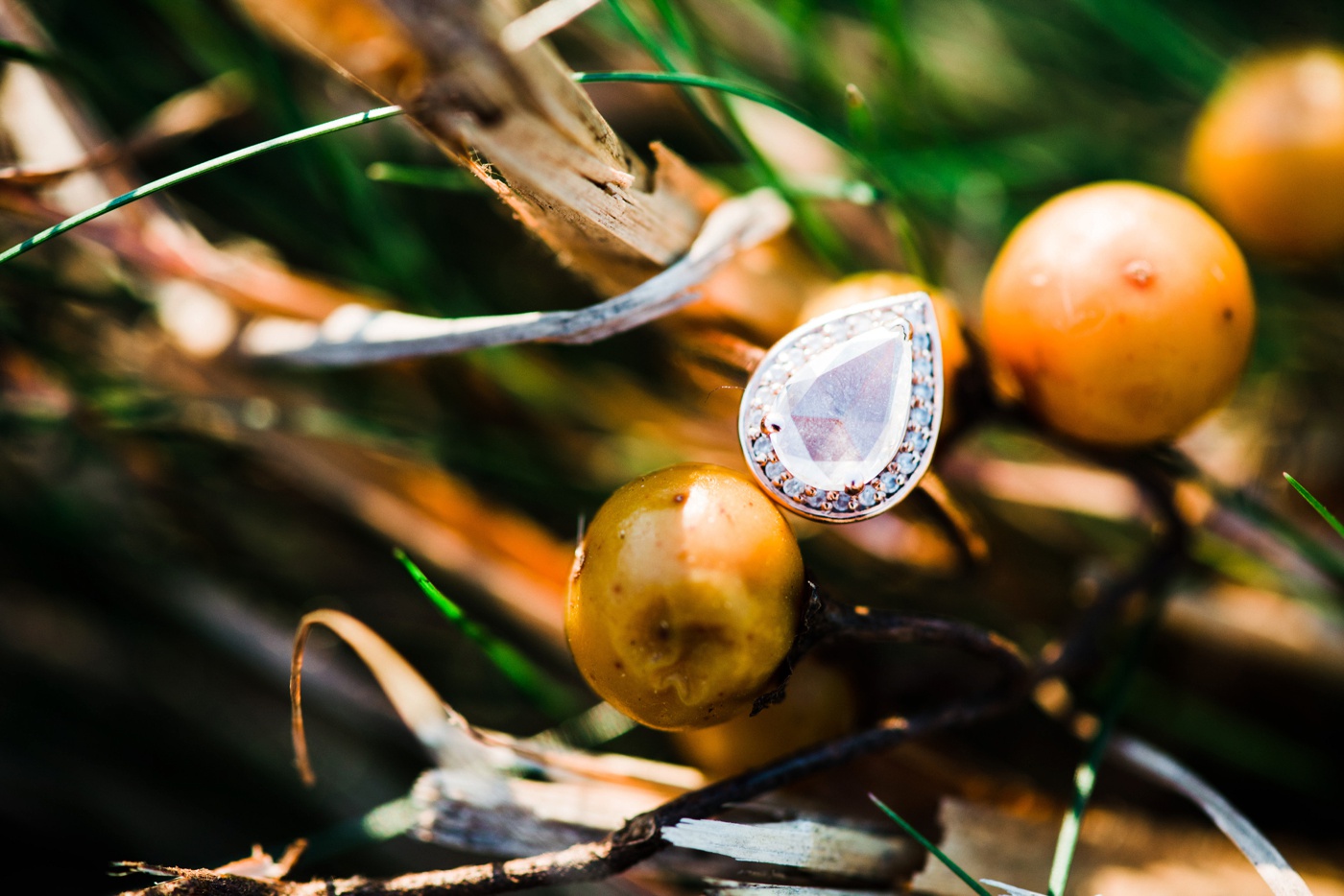 2015 Engagement Session Recap - Alison Dunn Photography-61