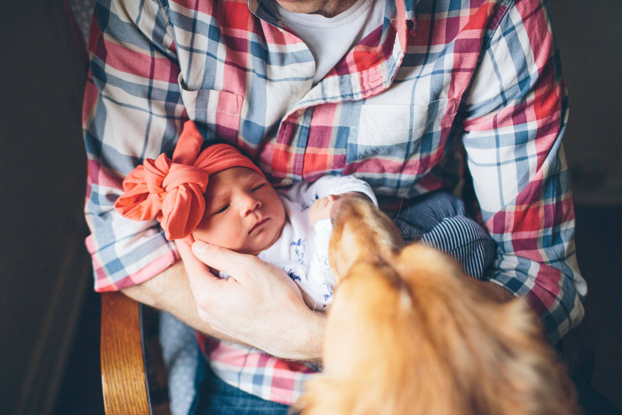 Addison Grace - Philadelphia Newborn Photographer - In Home Lifestyle Session photo