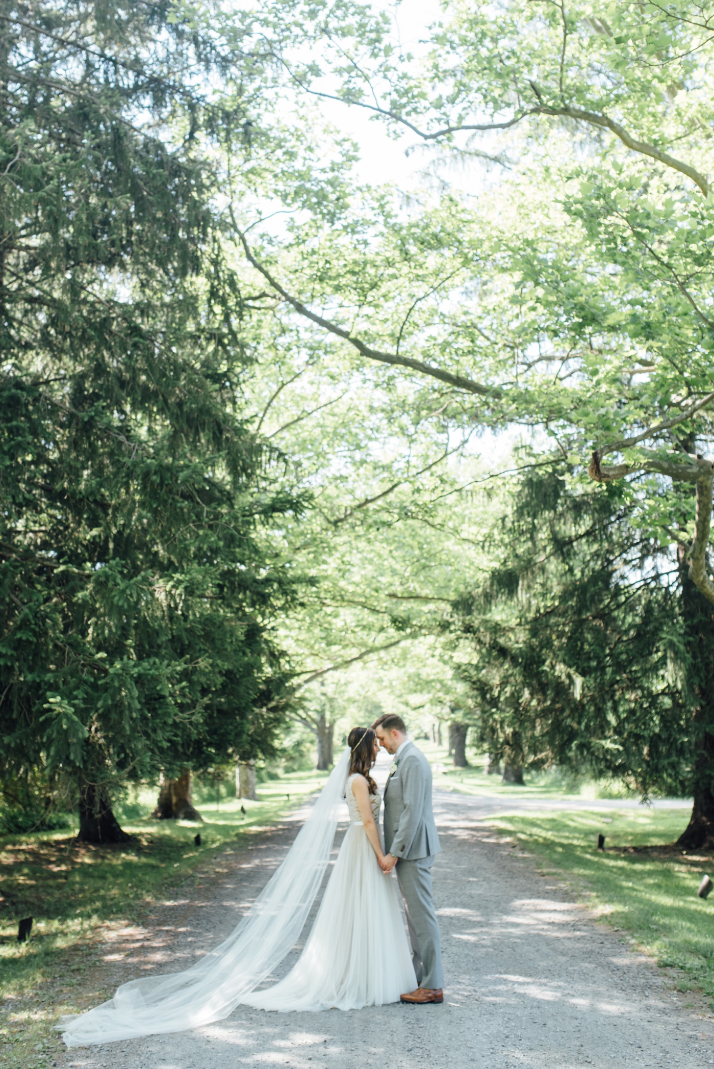 Jay + Dana - Inn at Barley Sheaf - New Hope Bucks County Pennsylvania Wedding Photographer - Alison Dunn Photography photo