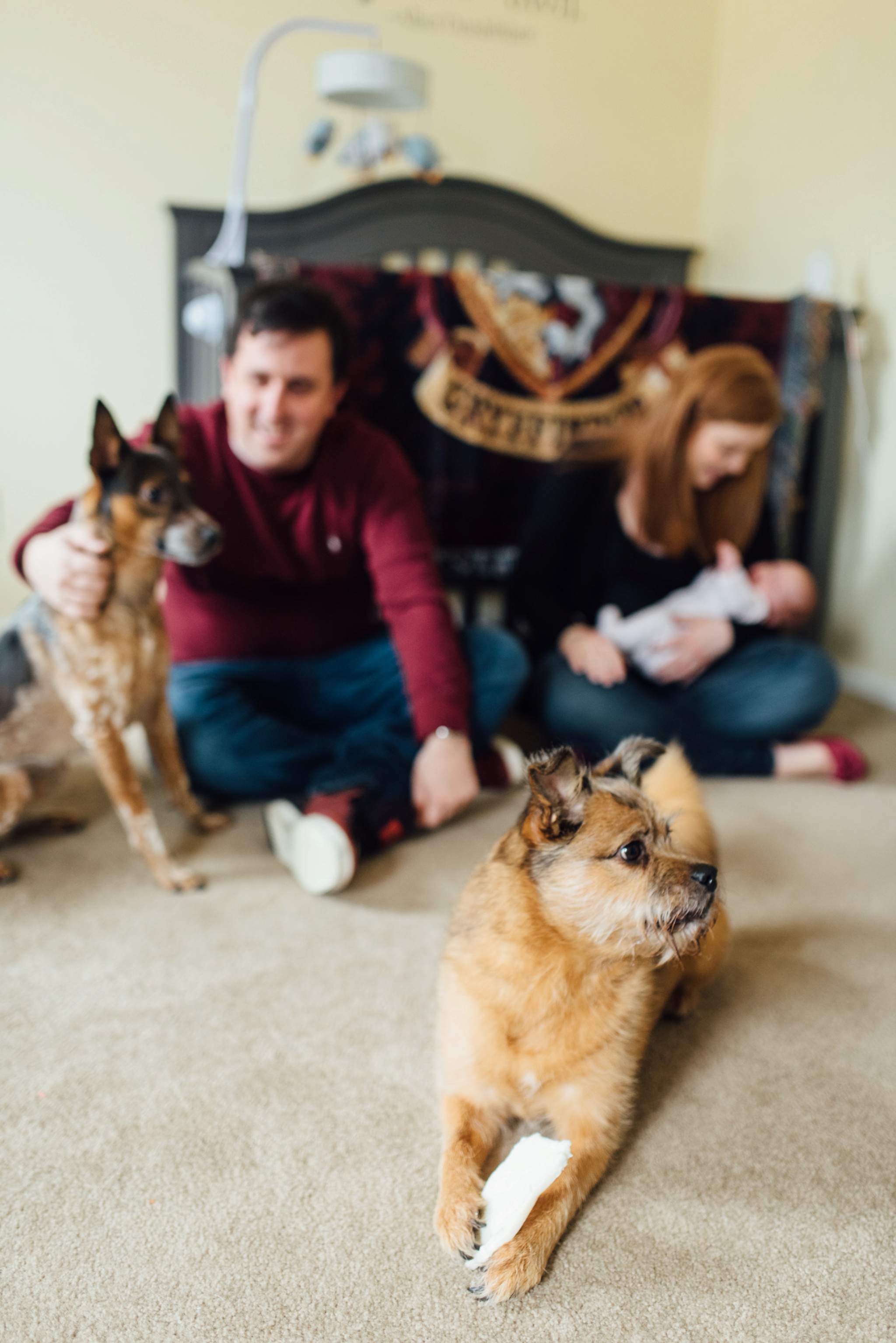 Natale - In Home Lifestyle Family Session - New Jersey Family Photographer - Alison Dunn Photography